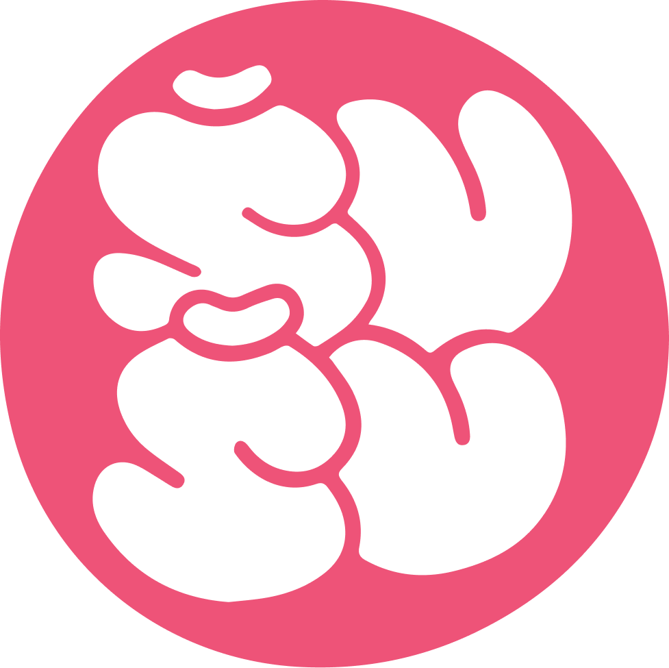 Pink circular SUSU identity mark